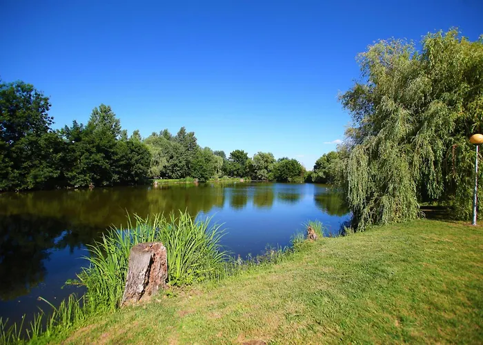 Hotel Termál Vesta Tapioszecso
