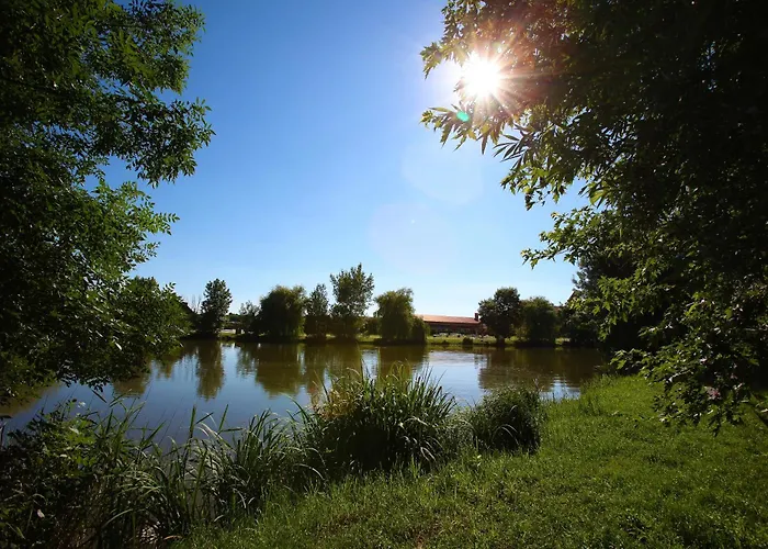 Termál Vesta Hotel *